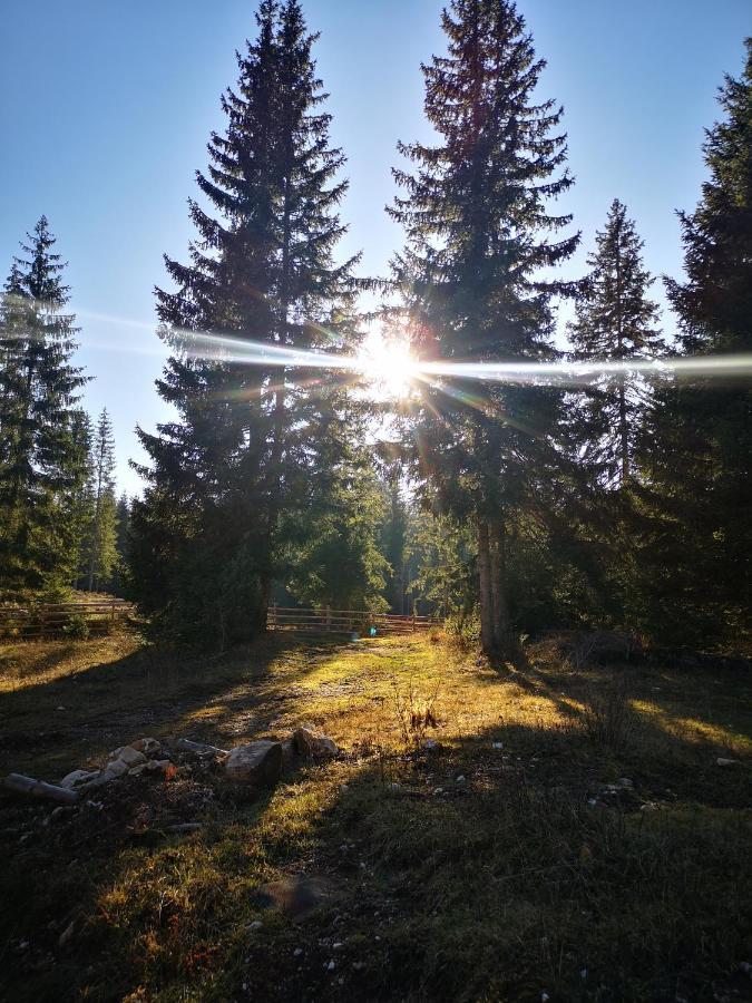 Villa Snowhite Jahorina Esterno foto