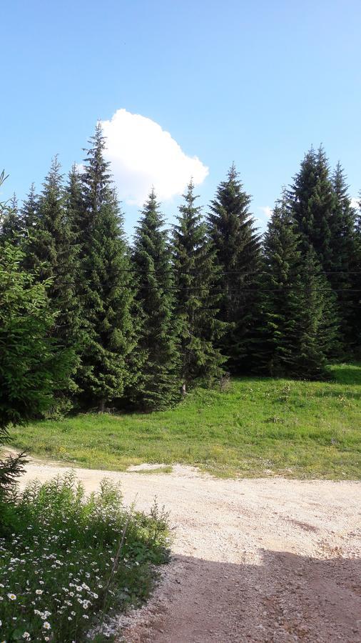 Villa Snowhite Jahorina Esterno foto